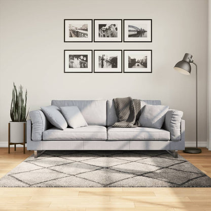 Tappeto Shaggy PAMPLONA Pelo Lungo Beige e Antracite 160x160 cm - homemem39