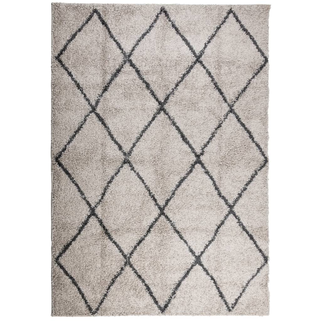 Tappeto Shaggy PAMPLONA Pelo Lungo Beige e Antracite 160x230 cm - homemem39