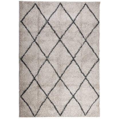 Tappeto Shaggy PAMPLONA Pelo Lungo Beige e Antracite 160x230 cm - homemem39