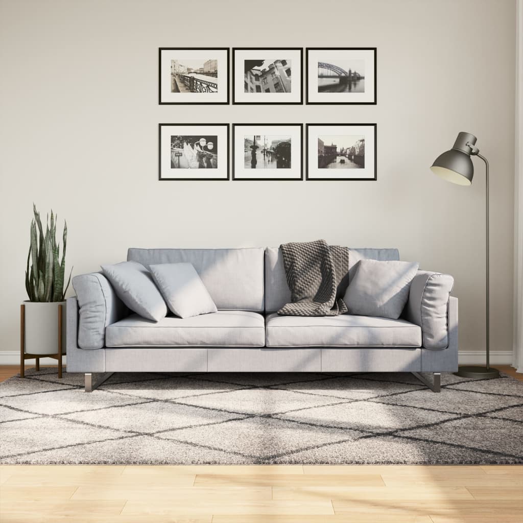 Tappeto Shaggy PAMPLONA Pelo Lungo Beige e Antracite 160x230 cm - homemem39
