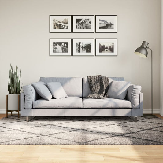 Tappeto Shaggy PAMPLONA Pelo Lungo Beige e Antracite 160x230 cm - homemem39