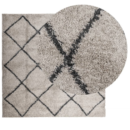 Tappeto Shaggy PAMPLONA Pelo Lungo Beige e Antracite 240x240 cm - homemem39