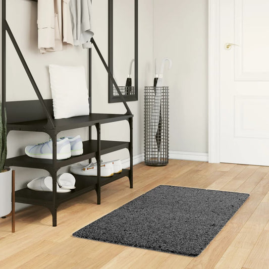 Tappeto OVIEDO a Pelo Corto Antracite 60x110 cm - homemem39