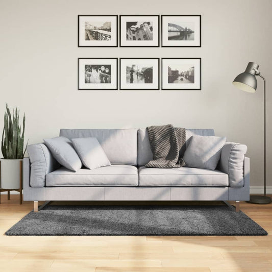 Tappeto OVIEDO a Pelo Corto Antracite 120x170 cm - homemem39