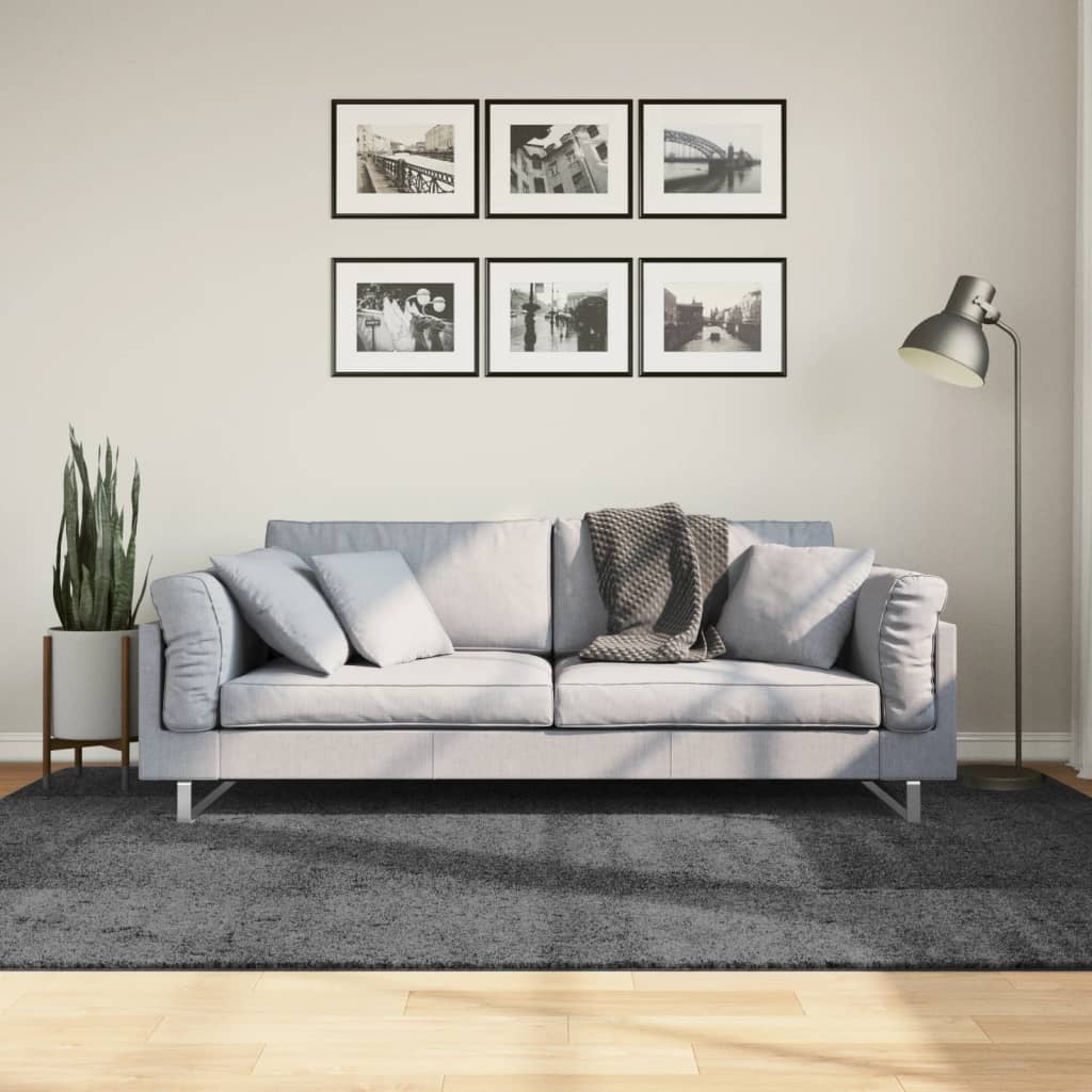 Tappeto OVIEDO a Pelo Corto Antracite 160x230 cm - homemem39