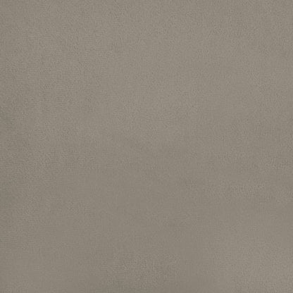 Divano Letto a 2 Posti con 2 Cuscini Grigio Chiaro in Velluto - homemem39