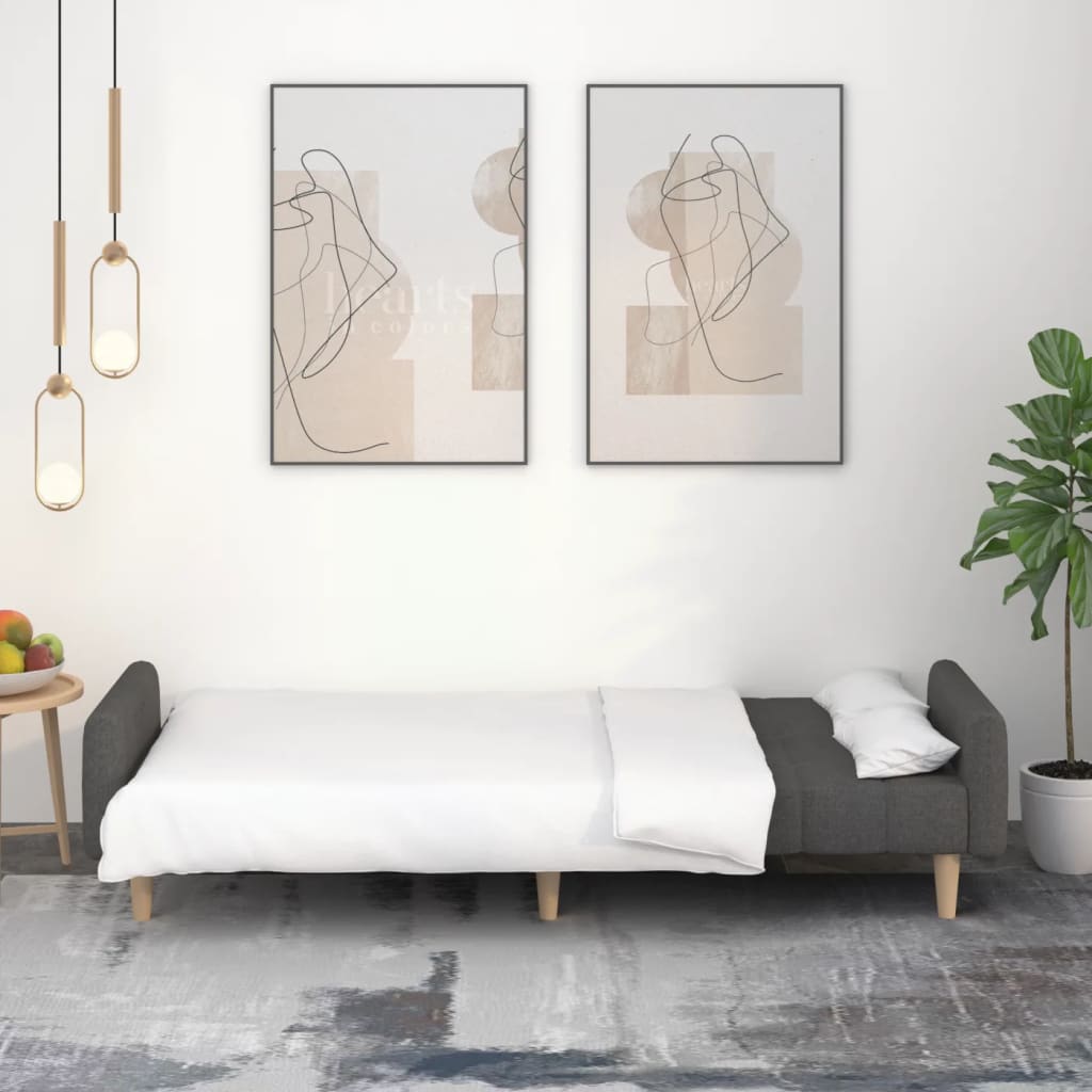 Divano Letto a 2 Posti Grigio Scuro in Tessuto - homemem39