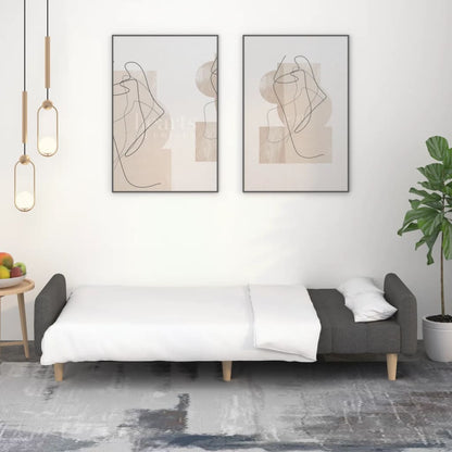 Divano Letto a 2 Posti Grigio Scuro in Tessuto - homemem39