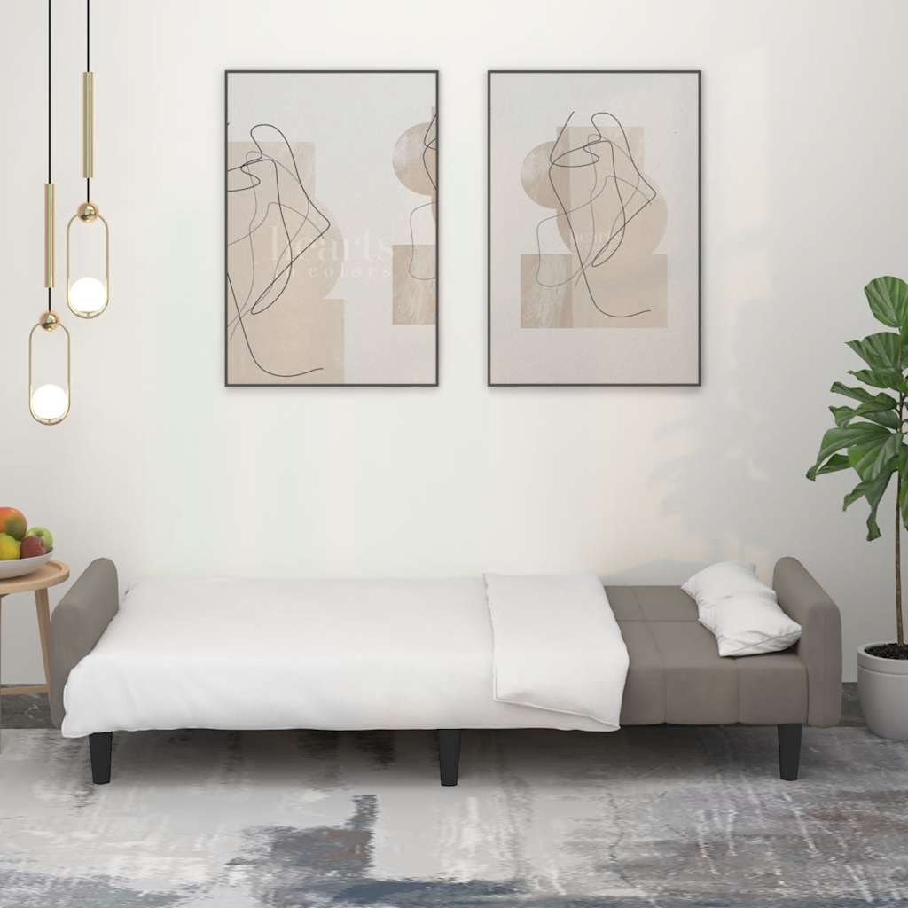 Divano Letto a 2 Posti Grigio Chiaro in Velluto - homemem39