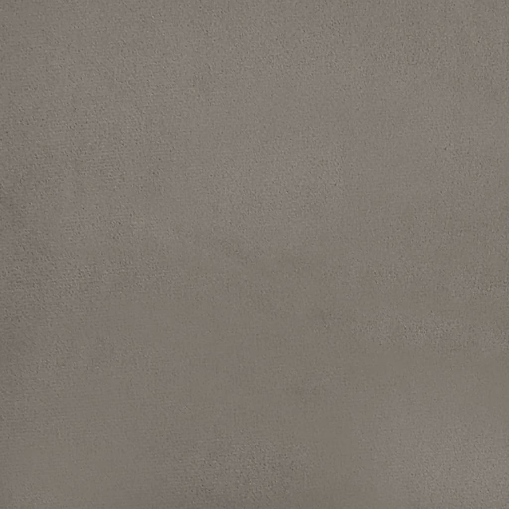 Divano Letto a 2 Posti con 2 Cuscini Grigio Chiaro in Velluto - homemem39