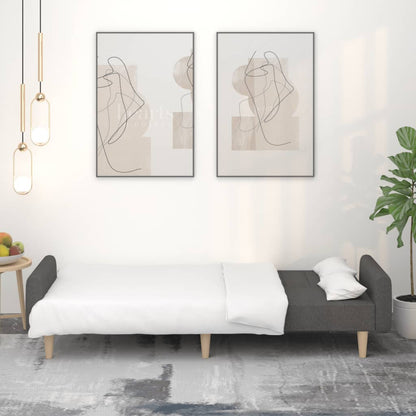 Divano Letto a 2 Posti Grigio Scuro in Tessuto - homemem39