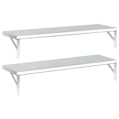 Mensole a Muro 2 pz 100x30 cm Argento in Acciaio Inossidabile | homemem39