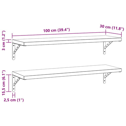 Mensole a Muro 2 pz 100x30 cm Argento in Acciaio Inossidabile | homemem39