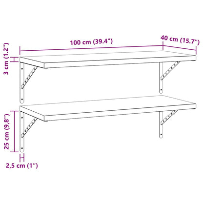 Mensole a Muro 2 pz 100x40 cm Nero in Acciaio Inossidabile | homemem39