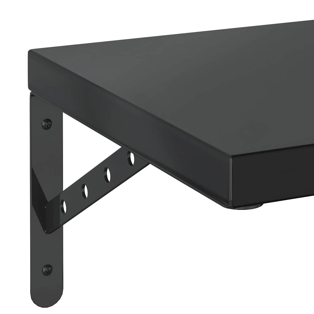 Mensole a Muro 2 pz 100x30 cm Nero in Acciaio Inossidabile | homemem39