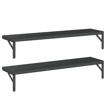 Mensole a Muro 2 pz 100x23,5 cm Nero in Acciaio Inossidabile | homemem39