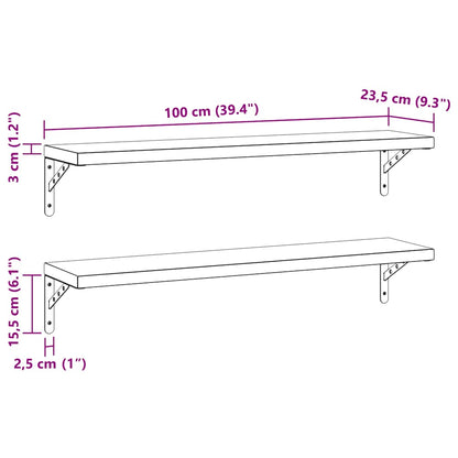 Mensole a Muro 2 pz 100x23,5 cm Nero in Acciaio Inossidabile | homemem39