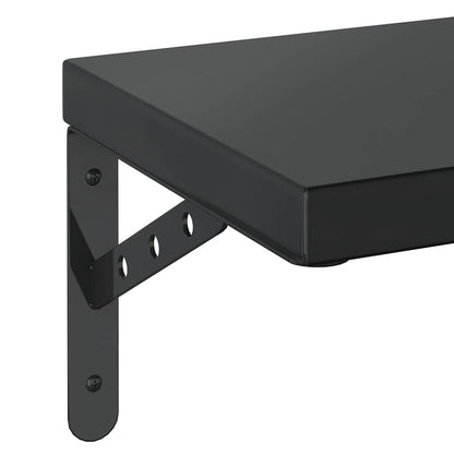 Mensole a Muro 2 pz 50x23,5 cm Nero in Acciaio Inossidabile | homemem39