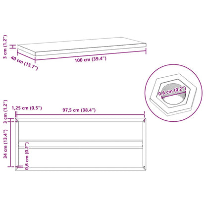 Mensole a Muro 2 pz 100x40 cm Argento in Acciaio Inossidabile | homemem39