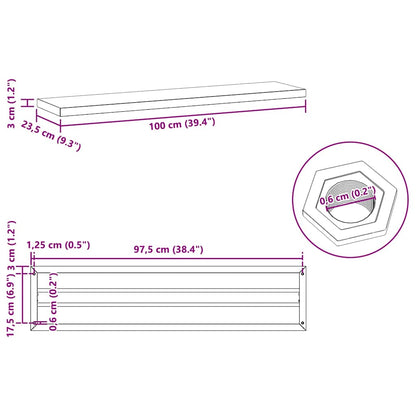 Mensole a Muro 2 pz 100x23,5 cm Nero in Acciaio Inossidabile | homemem39