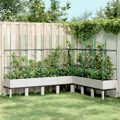 Fioriera da Giardino con Traliccio Bianco 200x160x142,5cm in PP | homemem39