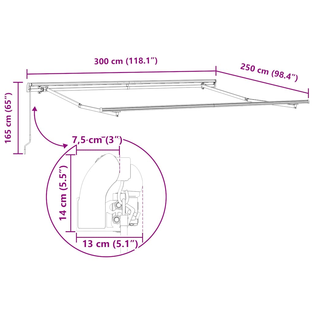 Tenda Sole Retrattile Manuale 300x250 cm Marrone | homemem39