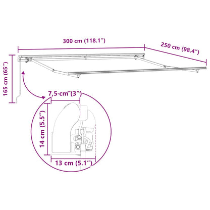 Tenda Sole Retrattile Manuale 300x250 cm Marrone | homemem39