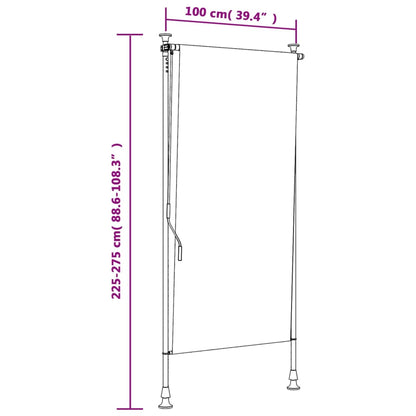 Tenda a Rullo Esterno Blu e Bianca 100x270cm Tessuto e Acciaio - homemem39