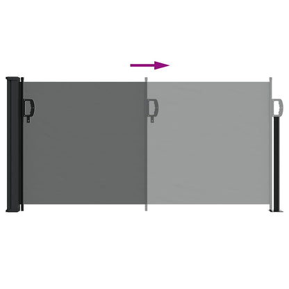 Tenda da sole laterale retrattile antracite 100x300 cm | homemem39
