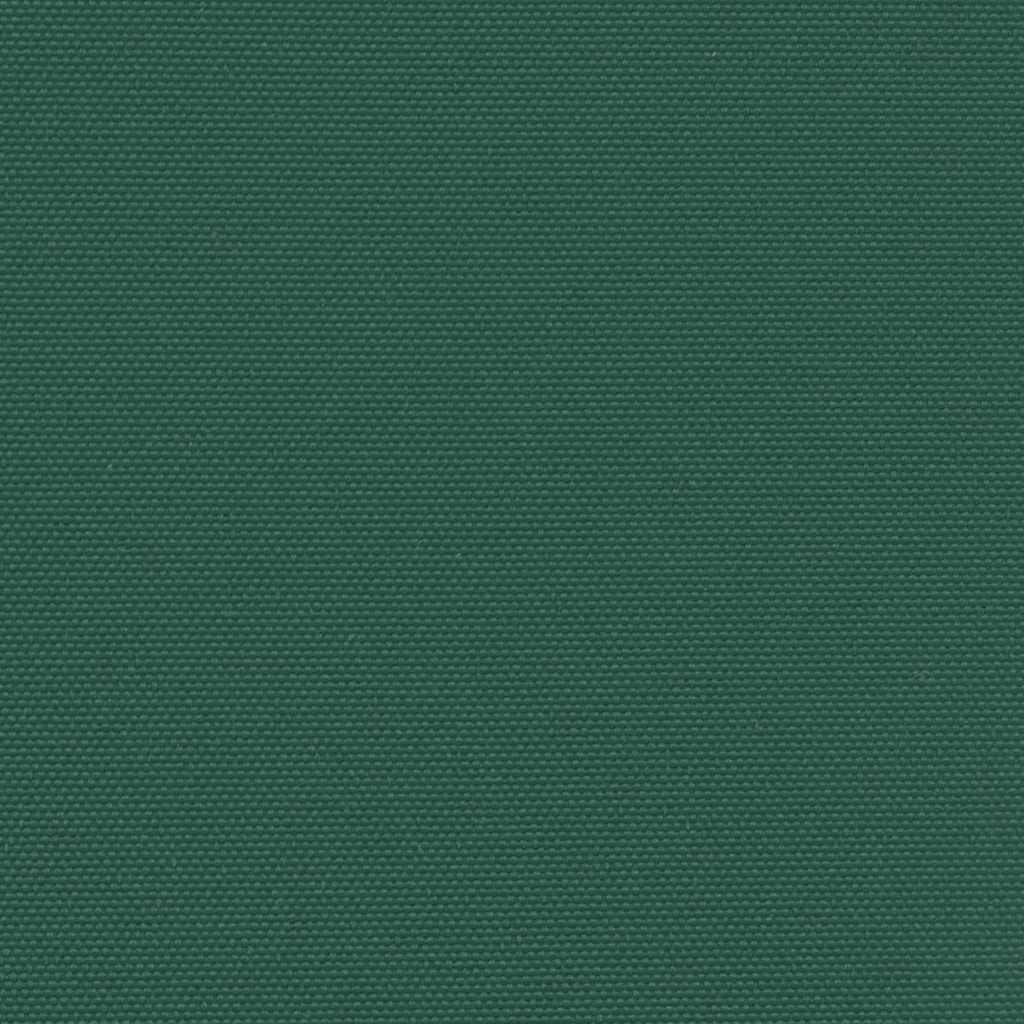Tenda da Sole Laterale Retrattile Verde Scuro 160x300 cm | homemem39