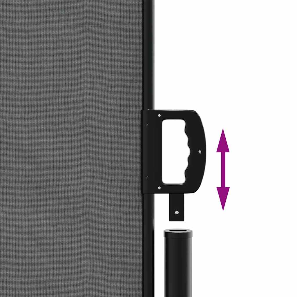Tenda da sole laterale retrattile antracite 200x300 cm | homemem39