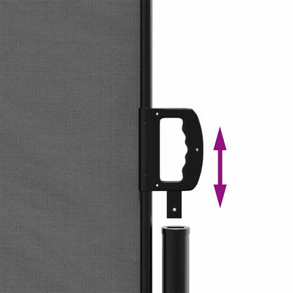 Tenda da sole laterale retrattile antracite 200x300 cm | homemem39