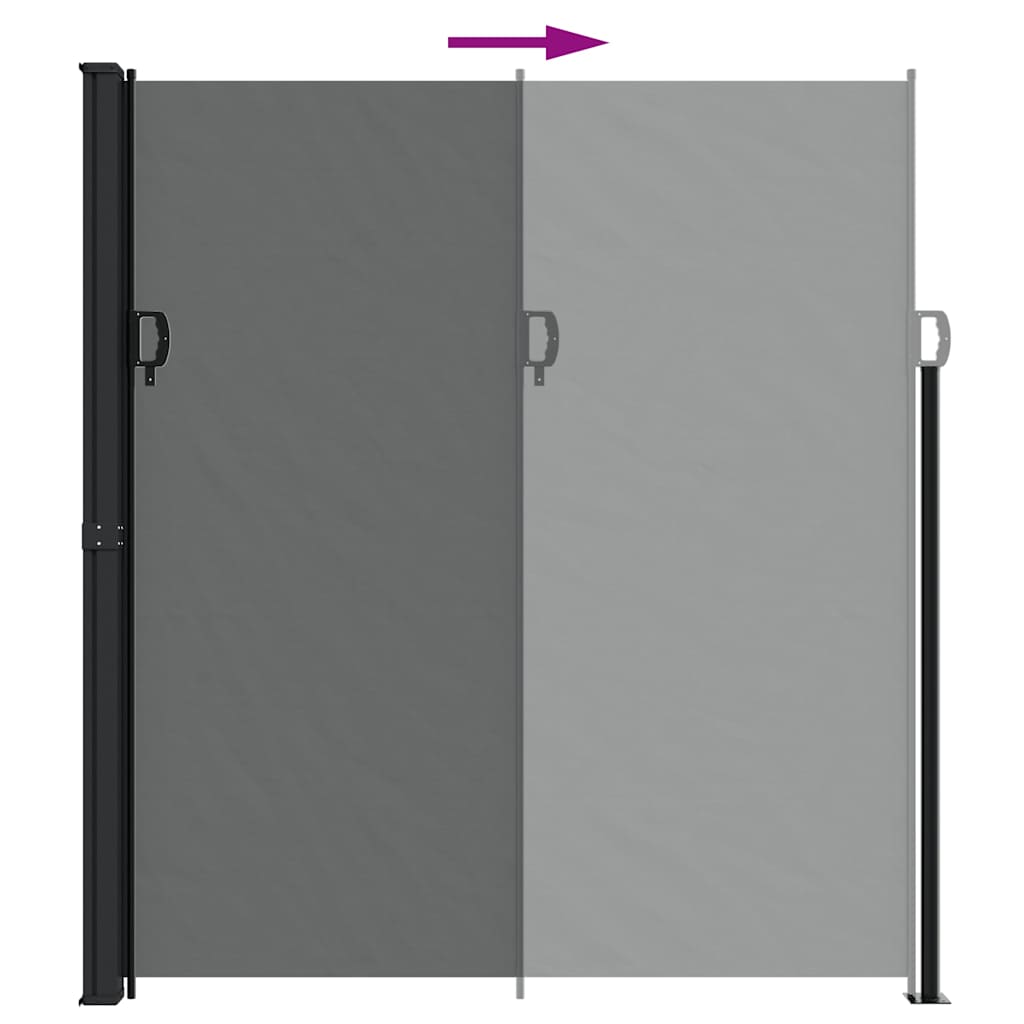 Tenda da sole laterale retrattile antracite 220x300 cm | homemem39