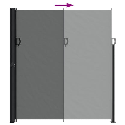 Tenda da sole laterale retrattile antracite 220x300 cm | homemem39