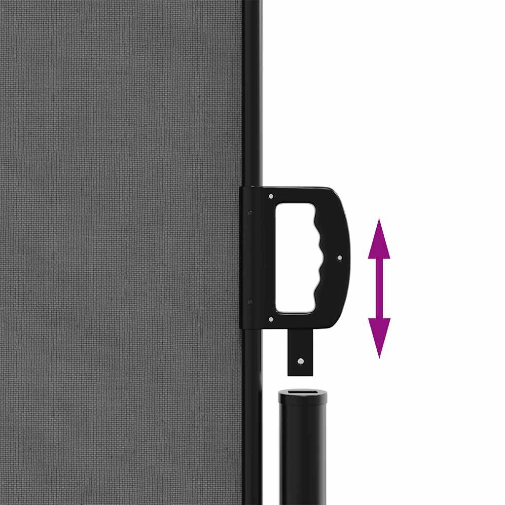 Tenda da sole laterale retrattile antracite 220x300 cm | homemem39