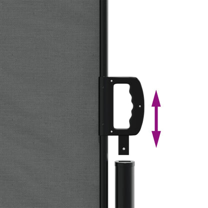 Tenda da Sole Laterale Retrattile Antracite 140x600 cm | homemem39