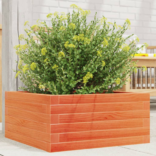Fioriera Giardino Marrone Cera 50x50x23 cm Legno Massello Pino | homemem39