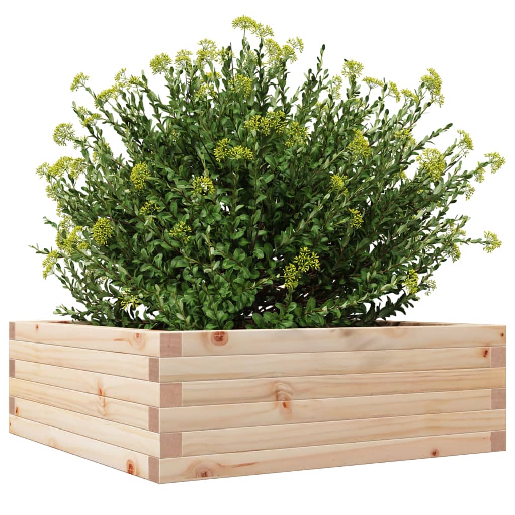 Fioriera da Giardino in Legno Massello di Pino