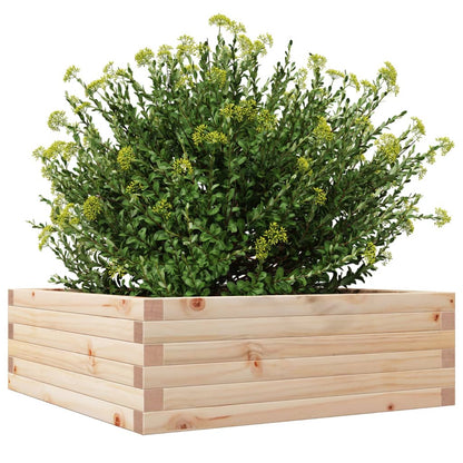 Fioriera da Giardino in Legno Massello di Pino