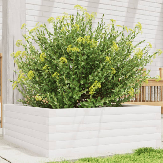 Fioriera da Giardino Bianca 70x70x23 cm Legno Massello di Pino | homemem39