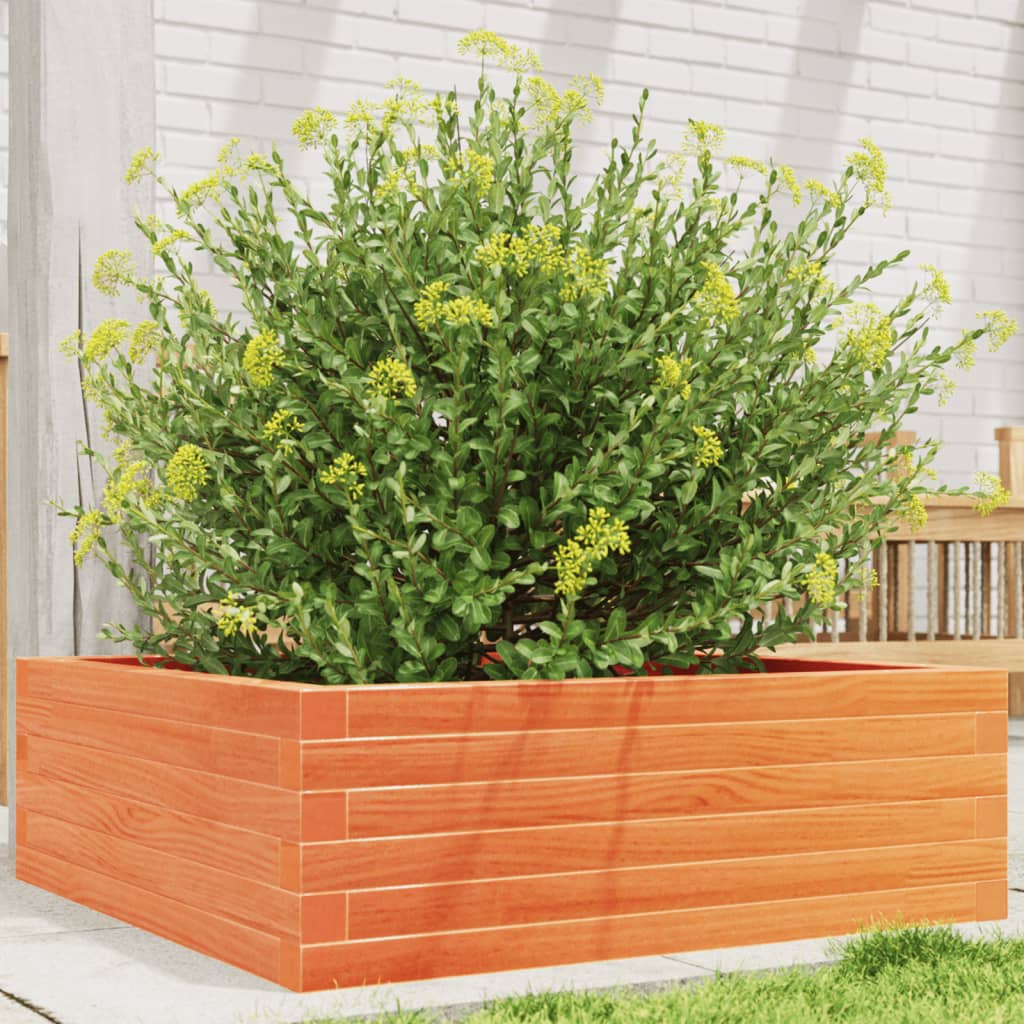 Fioriera Giardino Marrone Cera 70x70x23 cm Legno Massello Pino | homemem39