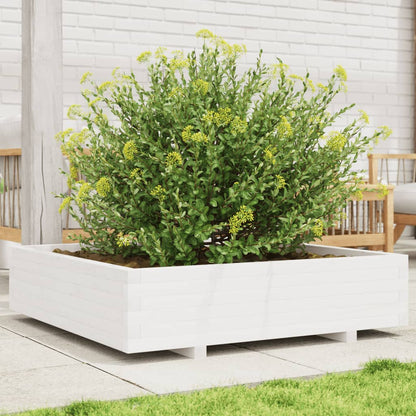 Fioriera da Giardino Bianca 100x100x26,5cm Legno Massello Pino - homemem39
