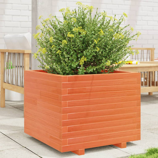 Fioriera Giardino Marrone Cera 60x60x49,5cm Legno Massello Pino - homemem39