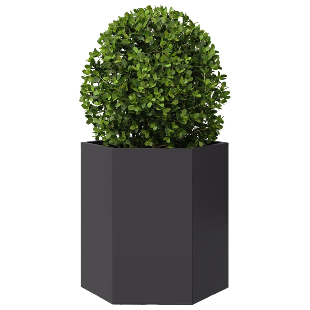 Fioriera da Giardino Nera Esagono 46x40x45 cm in Acciaio | homemem39