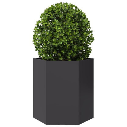 Fioriera da Giardino Nera Esagono 46x40x45 cm in Acciaio | homemem39