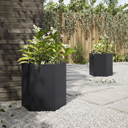 Fioriere da Giardino 2 pz Esagono Nero 46x40x45 cm Acciaio