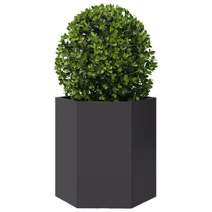 Fioriere da Giardino 2 pz Esagono Nero 46x40x45 cm Acciaio