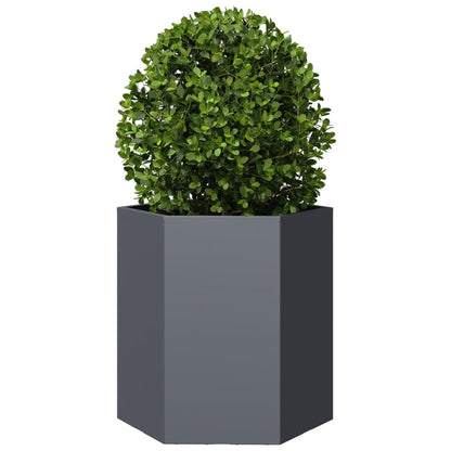 Fioriere da Giardino 2 pz Antracite Esagono 46x40x45 cm Acciaio