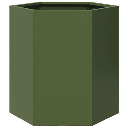 Fioriera da Giardino Verde Oliva Esagono 46x40x45 cm Acciaio - homemem39