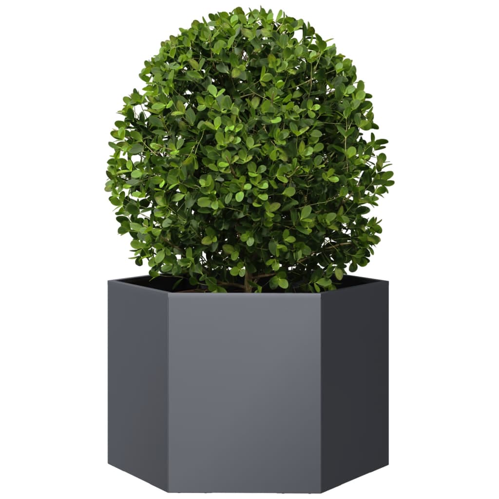 Fioriera da Giardino Antracite Esagono 69x60x45 cm in Acciaio - homemem39